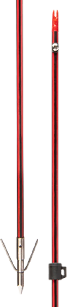 Cajun Piranha Arrows Long Barb XT