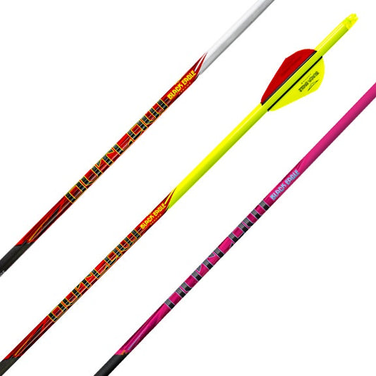Outlaw Crested Yellow Fletched Arrows