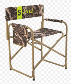 Summit Director Chair
