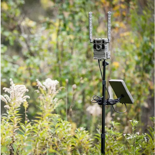 Tactacam Camera Stake